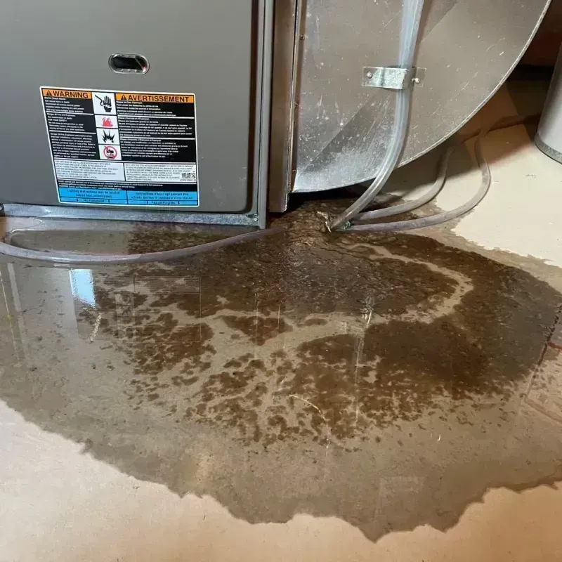 Appliance Leak Cleanup in Hubbard County, MN